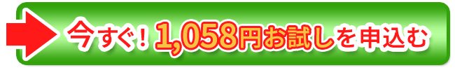 今すぐ60粒1058円モニターに申込む