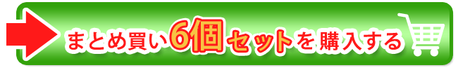 まとめ買い6個セット32,076円を購入する