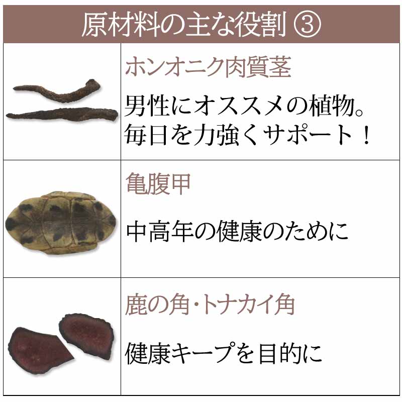 サツマ薬局の安寿薩摩丸EX