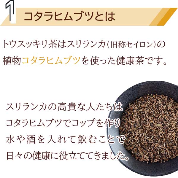 糖尿病対策・高血糖対策・ダイエットにオススメのお茶！