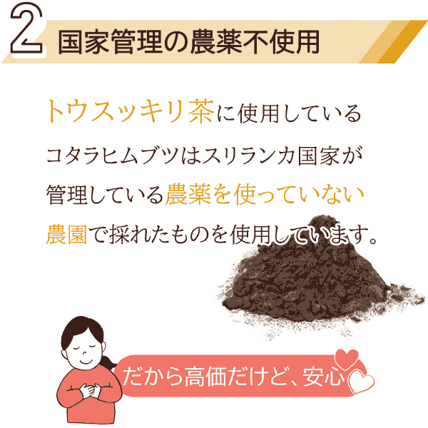 糖尿病対策・高血糖対策・ダイエットにオススメのお茶！