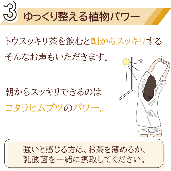 糖尿病対策・高血糖対策・ダイエットにオススメのお茶！