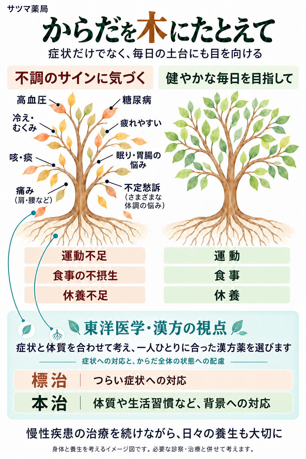 からだを木にたとえ、症状と生活の土台、東洋医学・漢方の視点から標治と本治を考える図