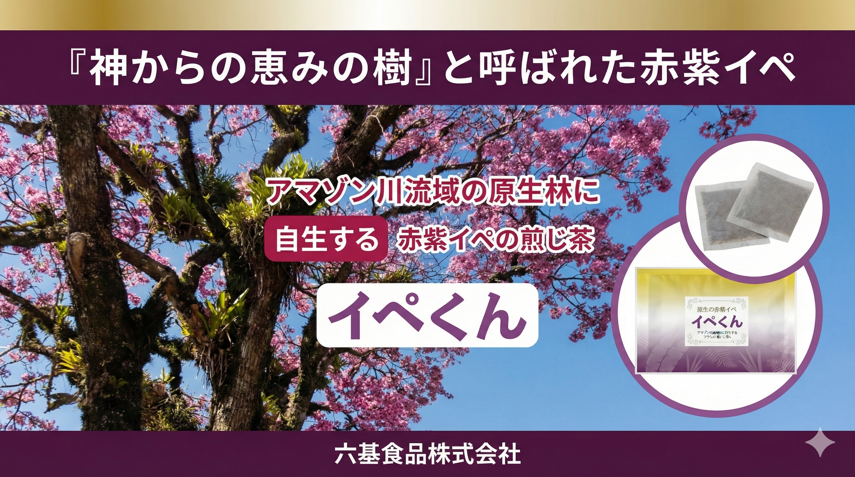 神からの恵みの樹】栽培ではない、アマゾン熱帯雨林原生の赤紫イペ 