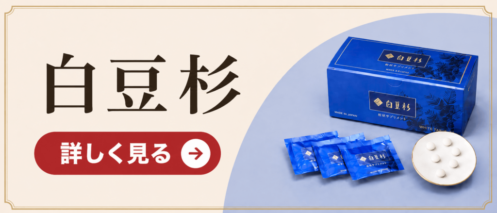 白豆杉のご案内
