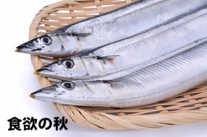 食欲の秋