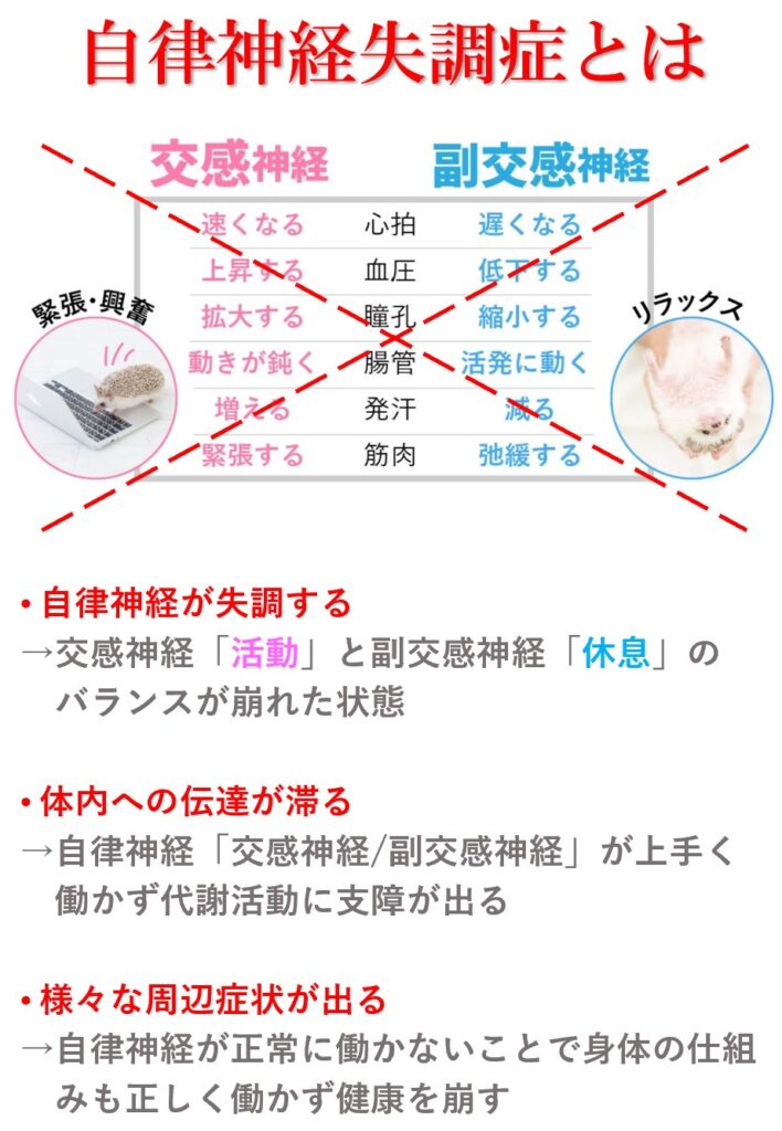 自律神経は交感神経と副交感神経からなる身体の生理活性をコントロールする神経です。通常であれば交感神経/副交感神経がバランスよく働きますが、自律神経失調とは字のごとく交感神経/副交感神経の働きのバランスが崩れて状態です。