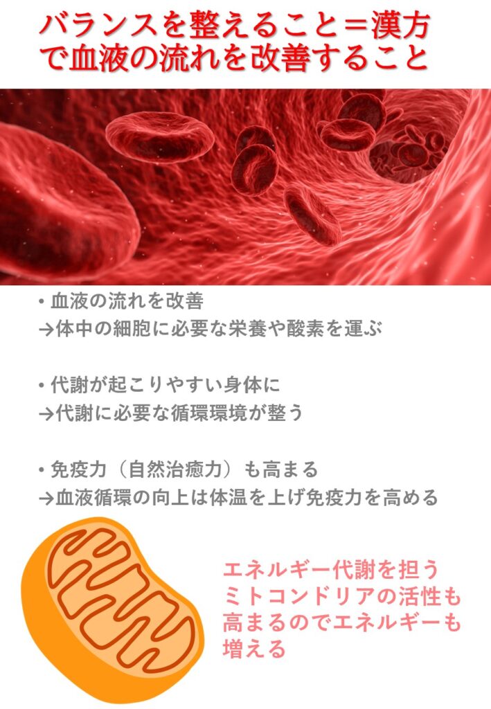 バランスの医学と呼ばれる漢方が行う治療の一つを説明します。東洋医学は「血液のコンディション」を重んじる医学です。多くの方が血液の質が悪かったり流れが悪い傾向にあるので血液循環を改善します。血液循環が良くなるとエネルギー効率が高まり代謝も良くなります。