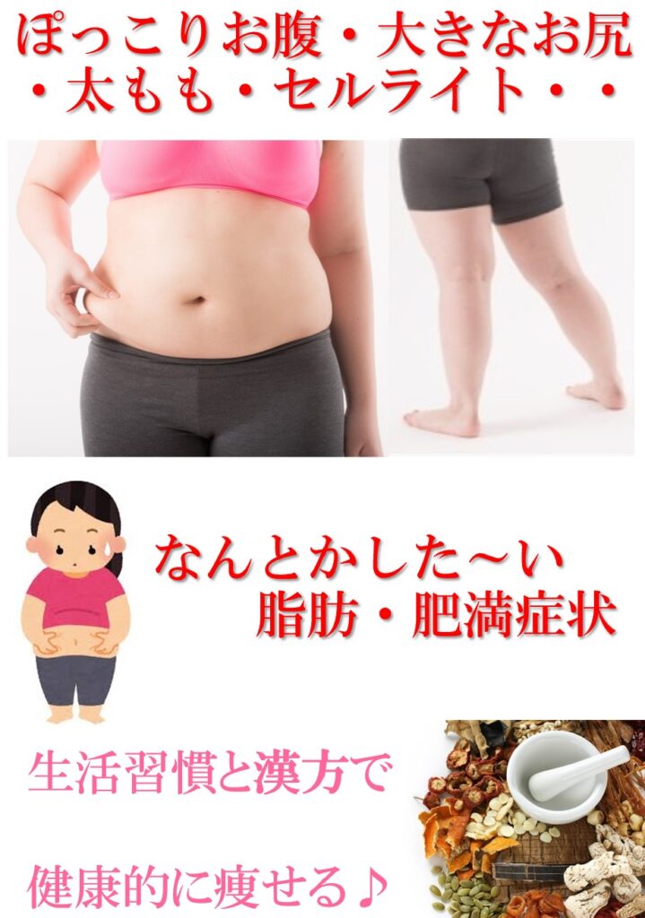 ぽっこりお腹・大きなお尻・脂肪