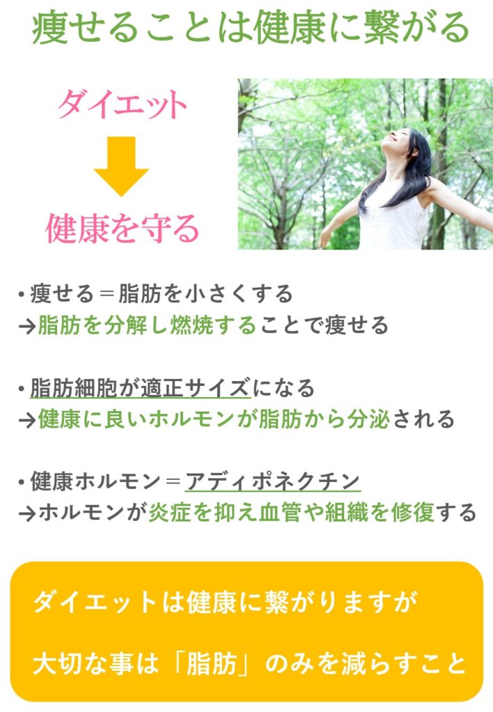 痩せて適切な脂肪量を保つ事は健康にも繋がります