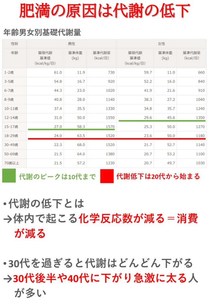肥満の原因は代謝の低下