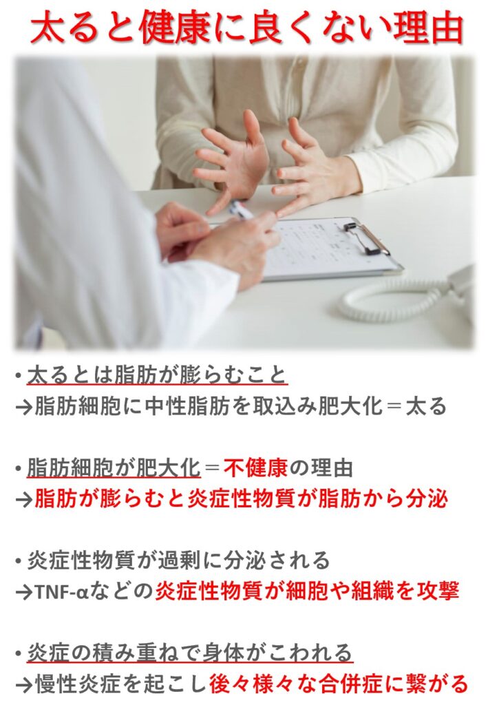 太る事は健康に良くありません