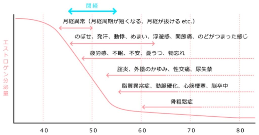 エストロゲン分泌量