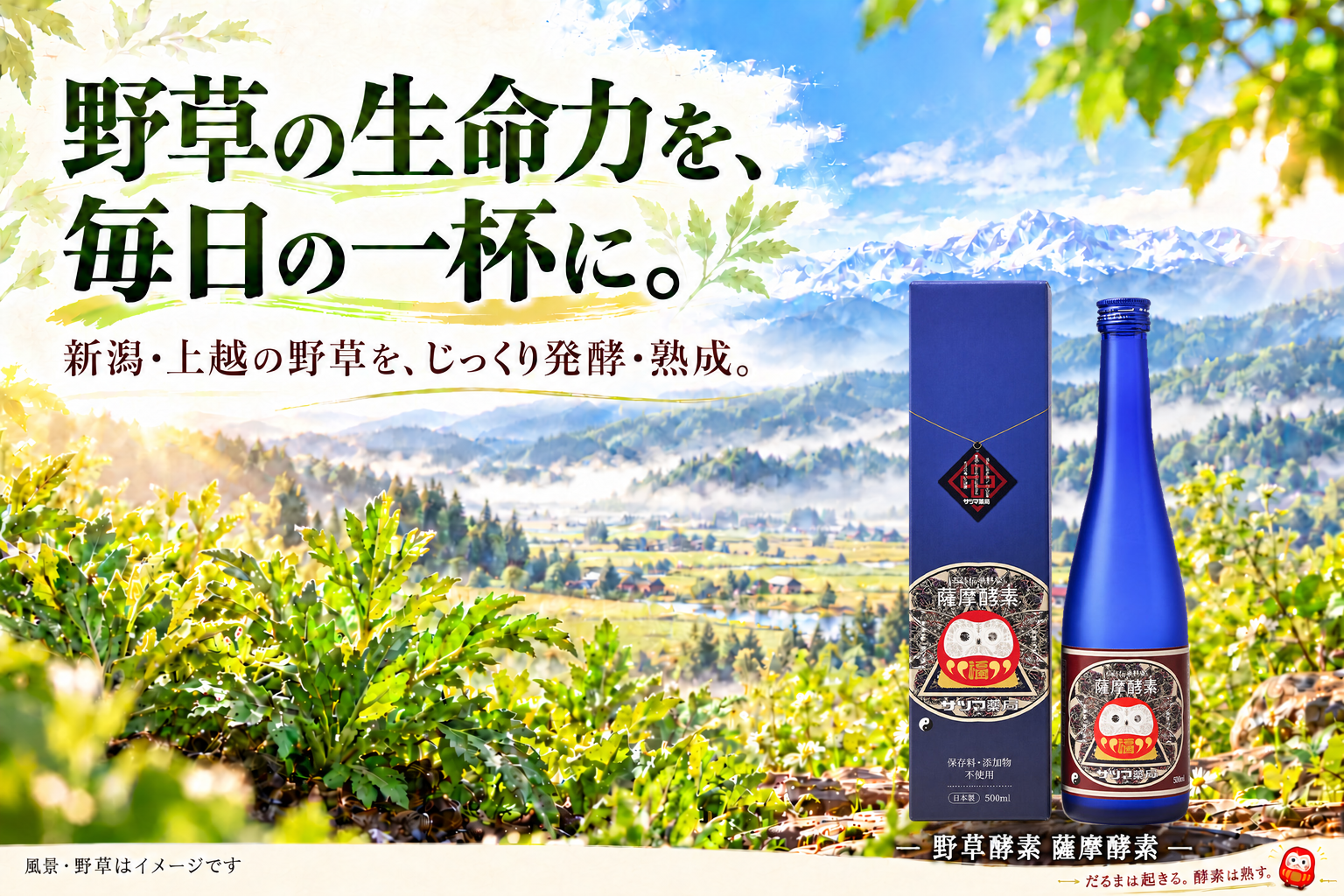 野草の生命力を、毎日の一杯に。薩摩酵素のスリムな青いボトルと野草。風景・野草はイメージです。