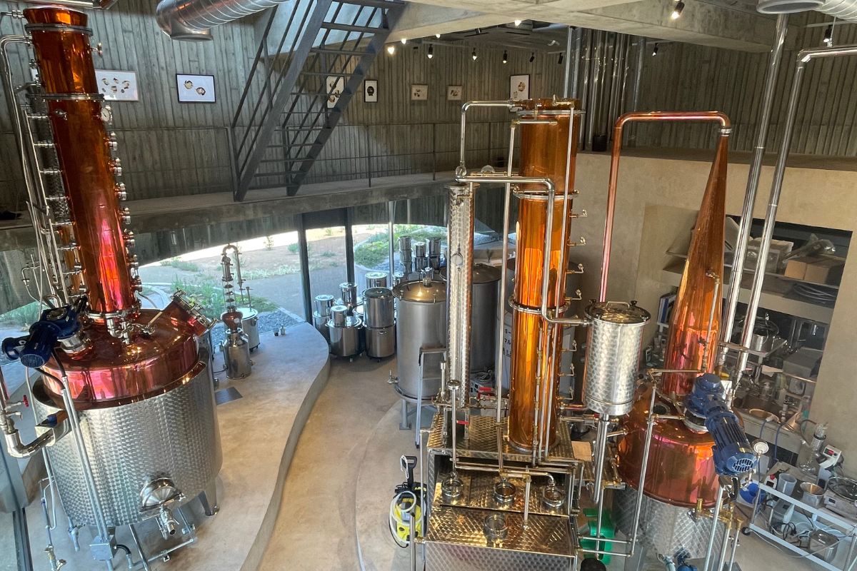 現地スタッフと話をする様子