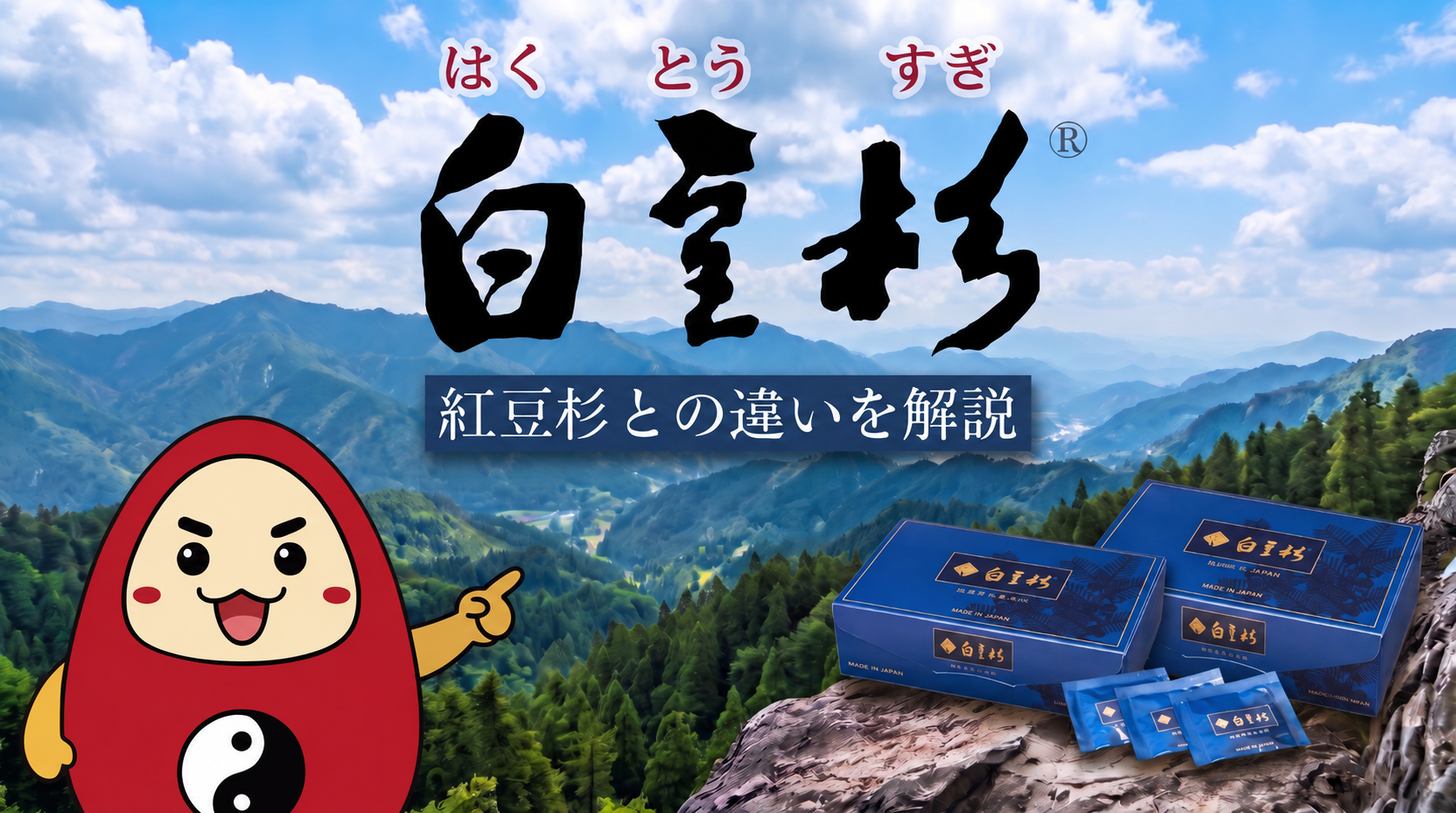 白豆杉と紅豆杉の違いを解説