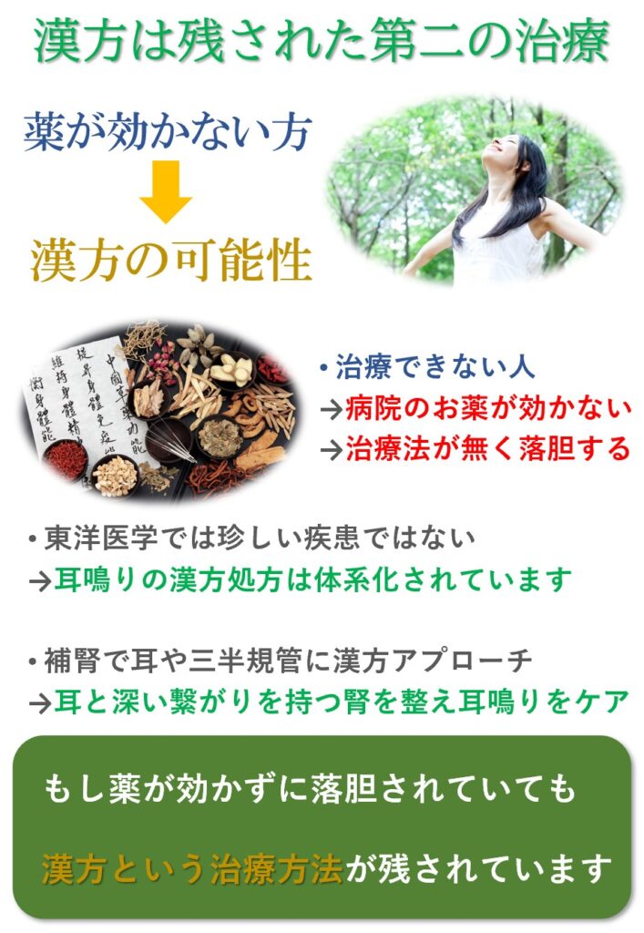 病院で耳鳴りが治せないのは有毛細胞を元に戻せないからです。しかし、東洋医学では身体のバランスを整る事で耳鳴りを収めます。つまり漢方は耳鳴りに残された第二の治療方法なのです。